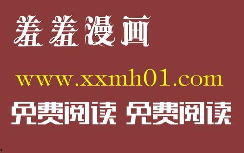 新sss视频,揭秘科技前沿，探索未知领域